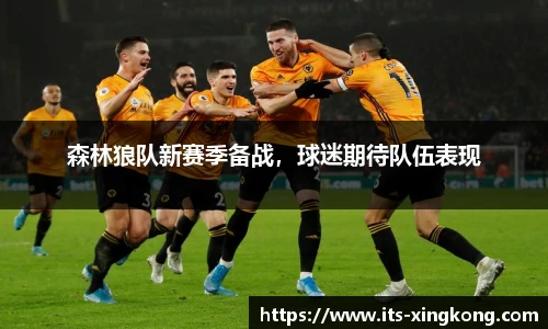 森林狼队新赛季备战，球迷期待队伍表现