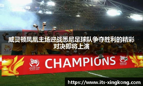 威灵顿凤凰主场迎战悉尼足球队争夺胜利的精彩对决即将上演